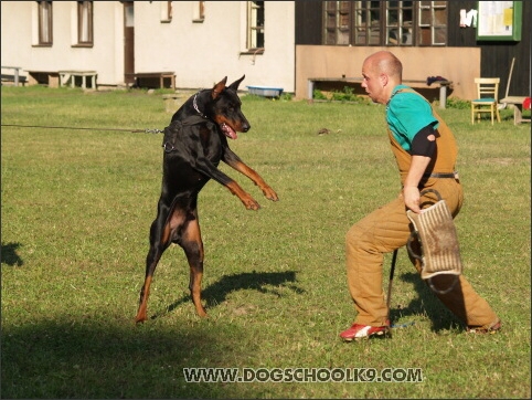 Pako Daker - training